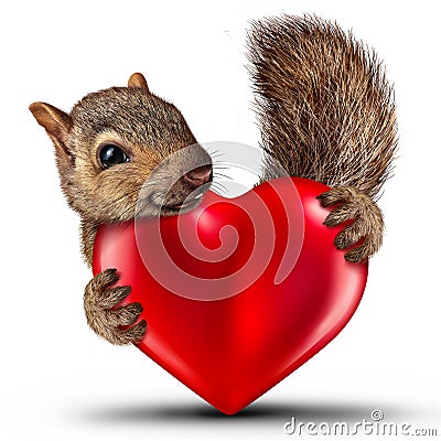 Valentine Cute Squirrel Cartoon Illustration